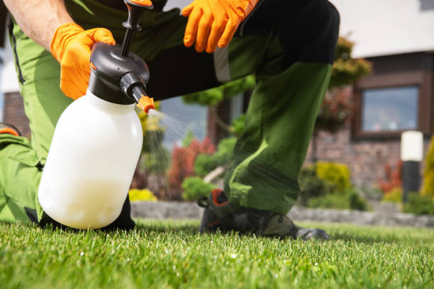 Best Residential Pest Control  in Tipton, IA