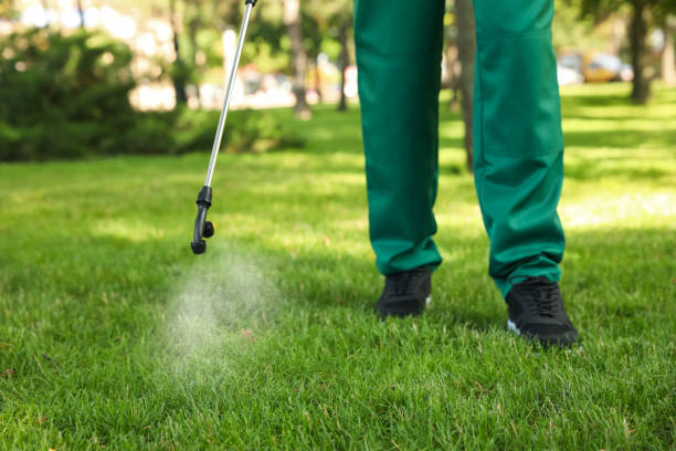 Best Exterminator Services  in Tipton, IA