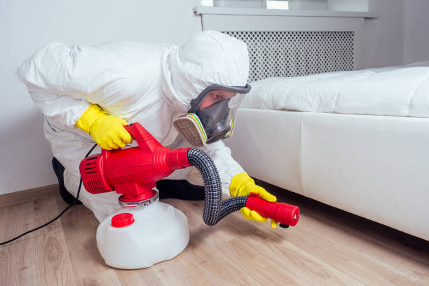 Best Termite Control Services  in Tipton, IA