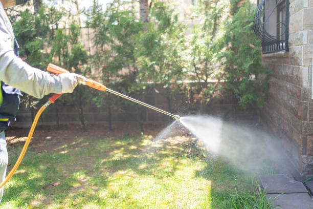 Best Insect Control  in Tipton, IA
